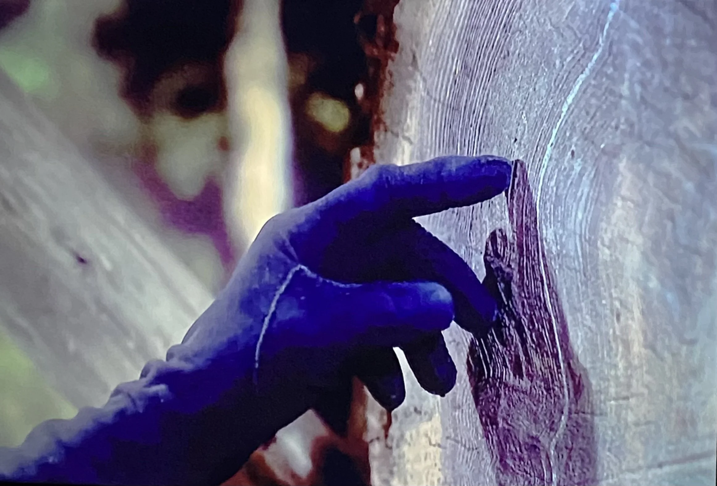 Neuroscience and Fashion: The Brain on Style