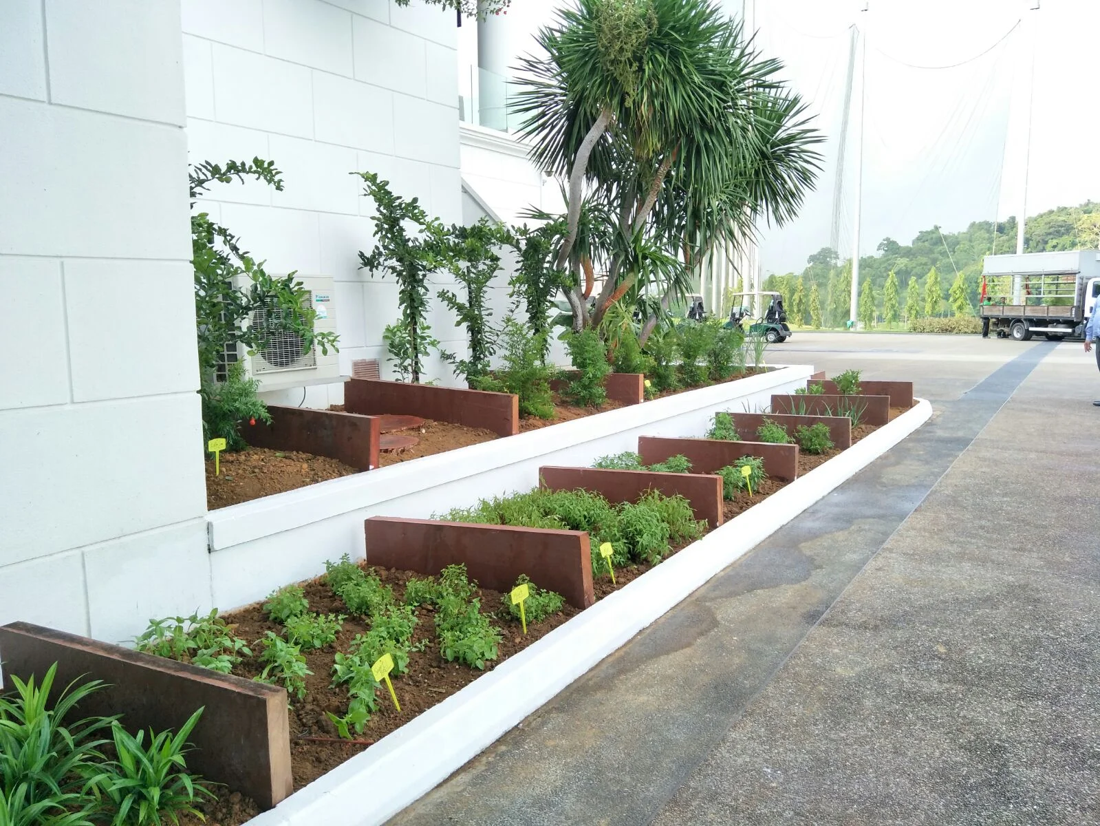 WhatsApp Image 2018-01-18 at 14.49.30.jpeg