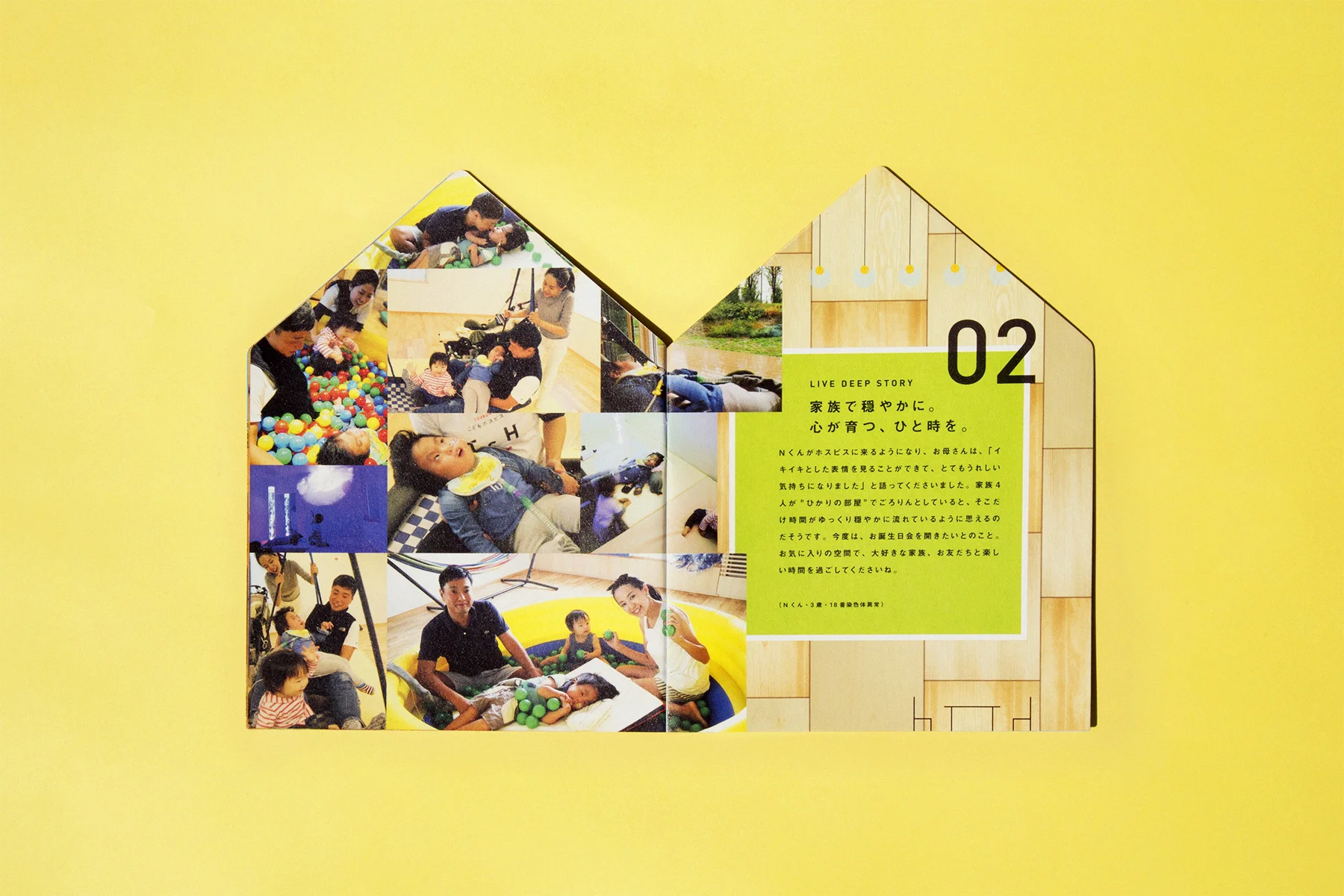 hos003.jpg