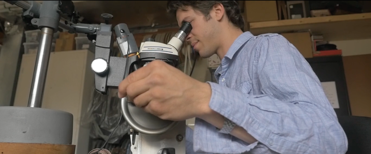 Jacob_cutterhead_coils_sideview.png