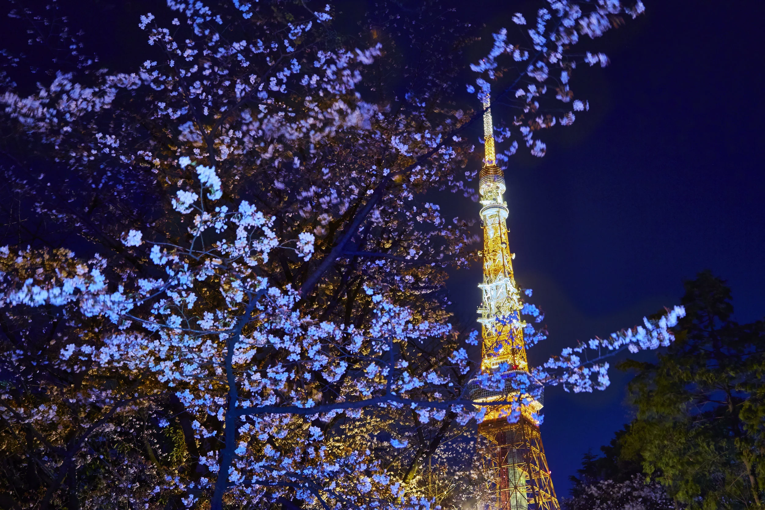 tokyotower_67 (1).jpg