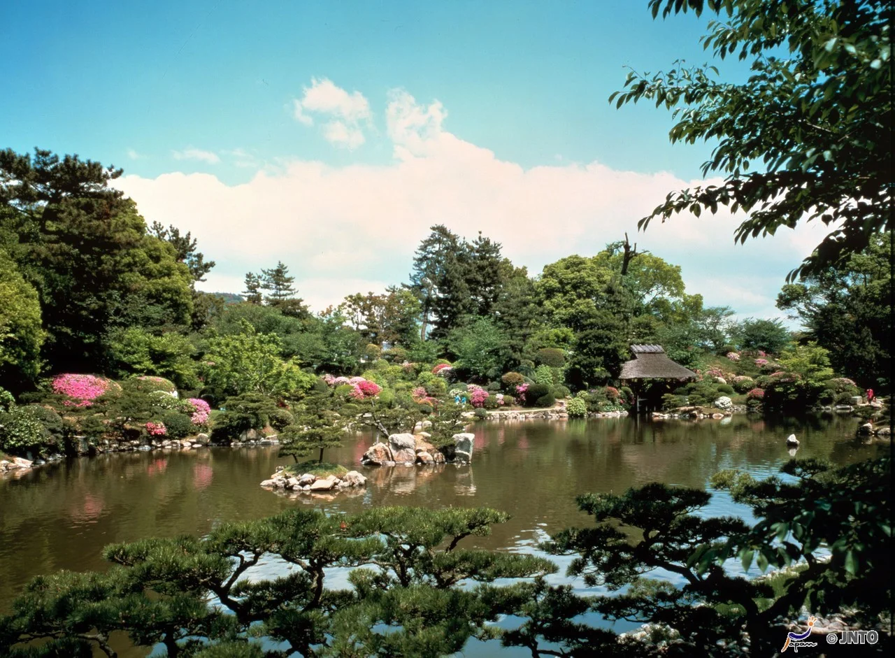 m_130056.jpg