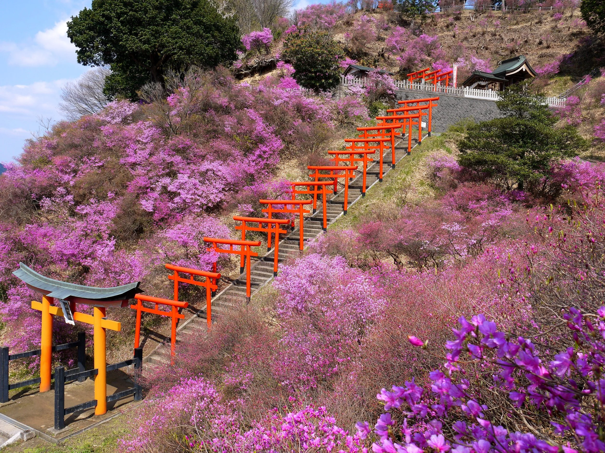 Shiizaki-Inari Shrine, Kyoto