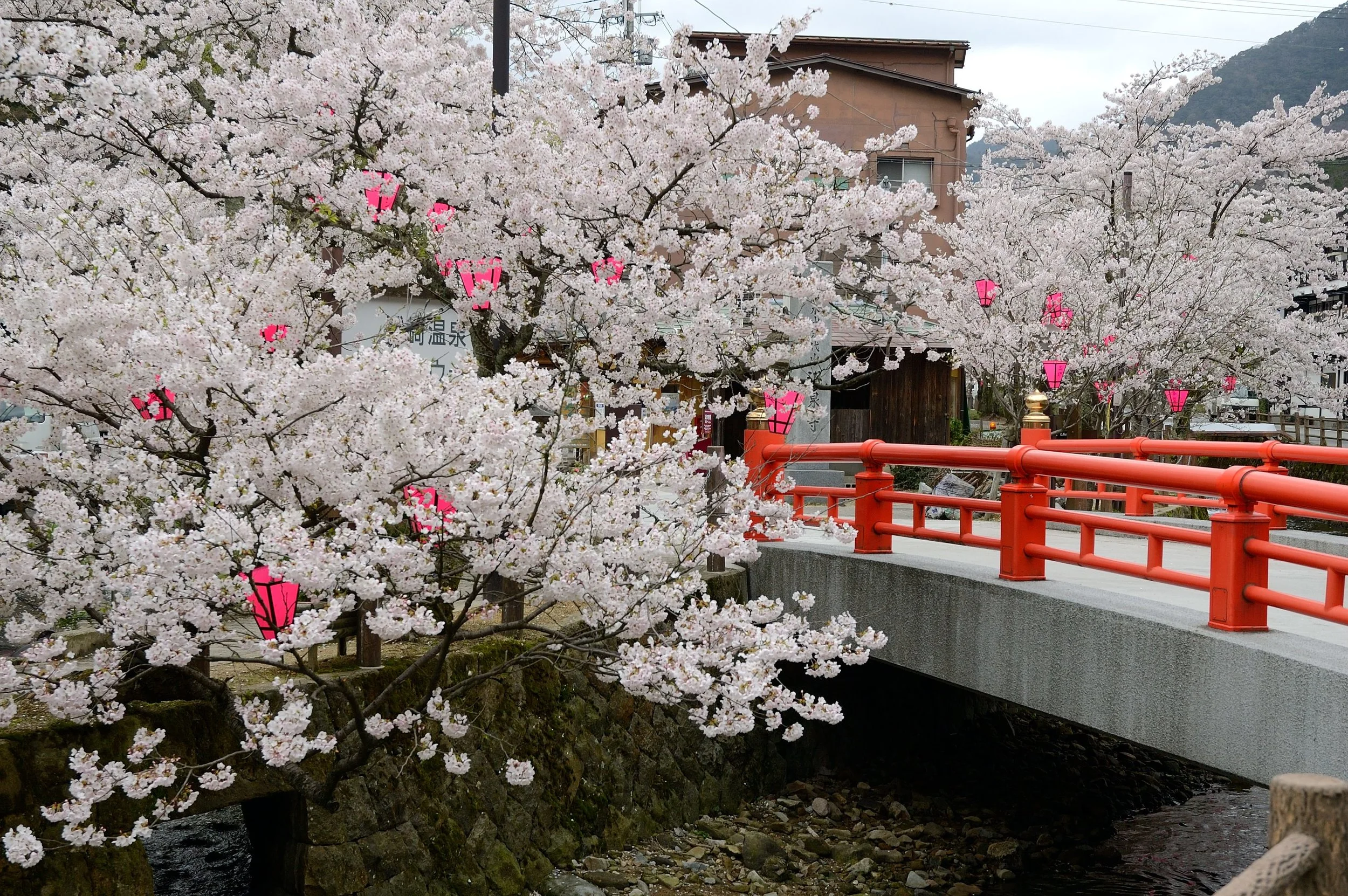 Kinosaki Hot Spring, Hyogo