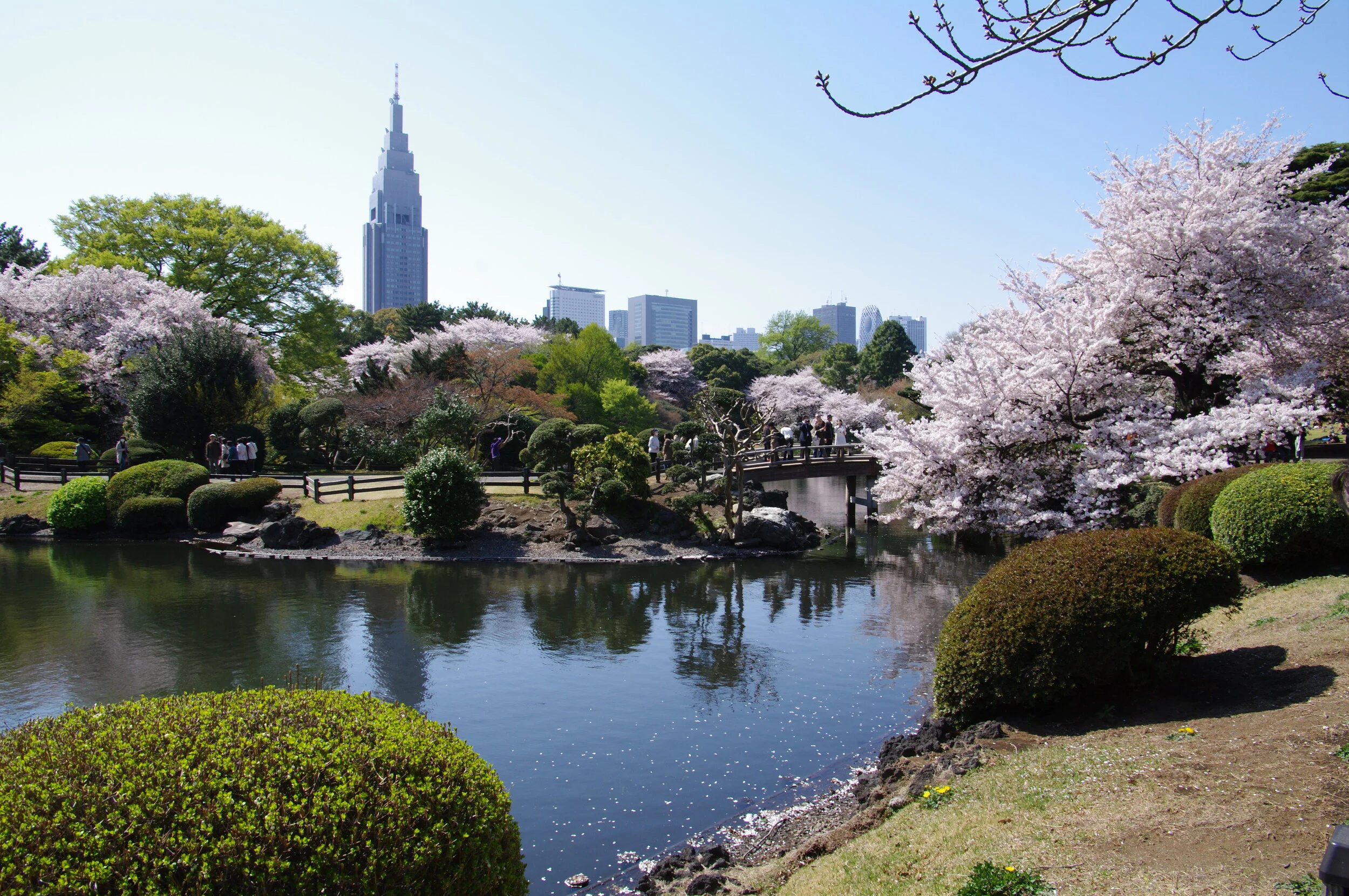 Shinjuku Gyoen National Garden, Tokyo