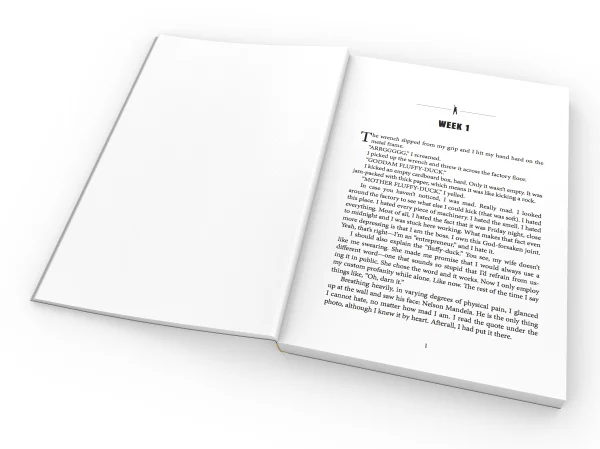 3D+inside+pages+-+free+chapter.jpg