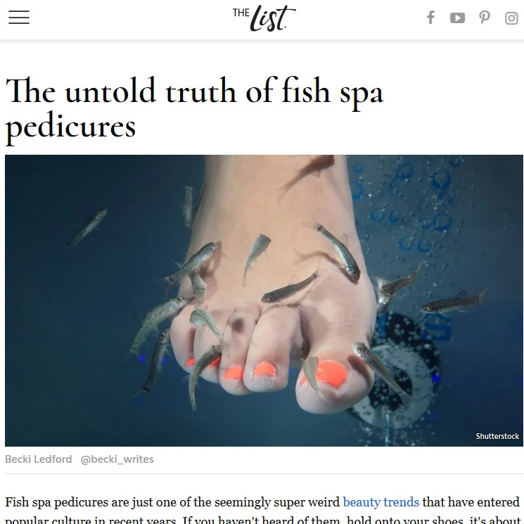 press18.jpg