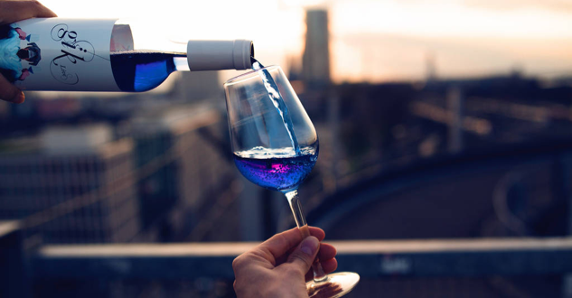 d.MBA/bluewine/casestudy.jpeg