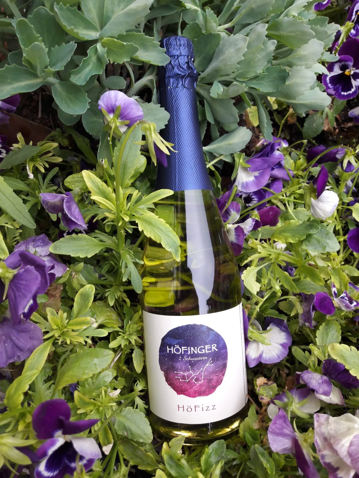 HöFizz