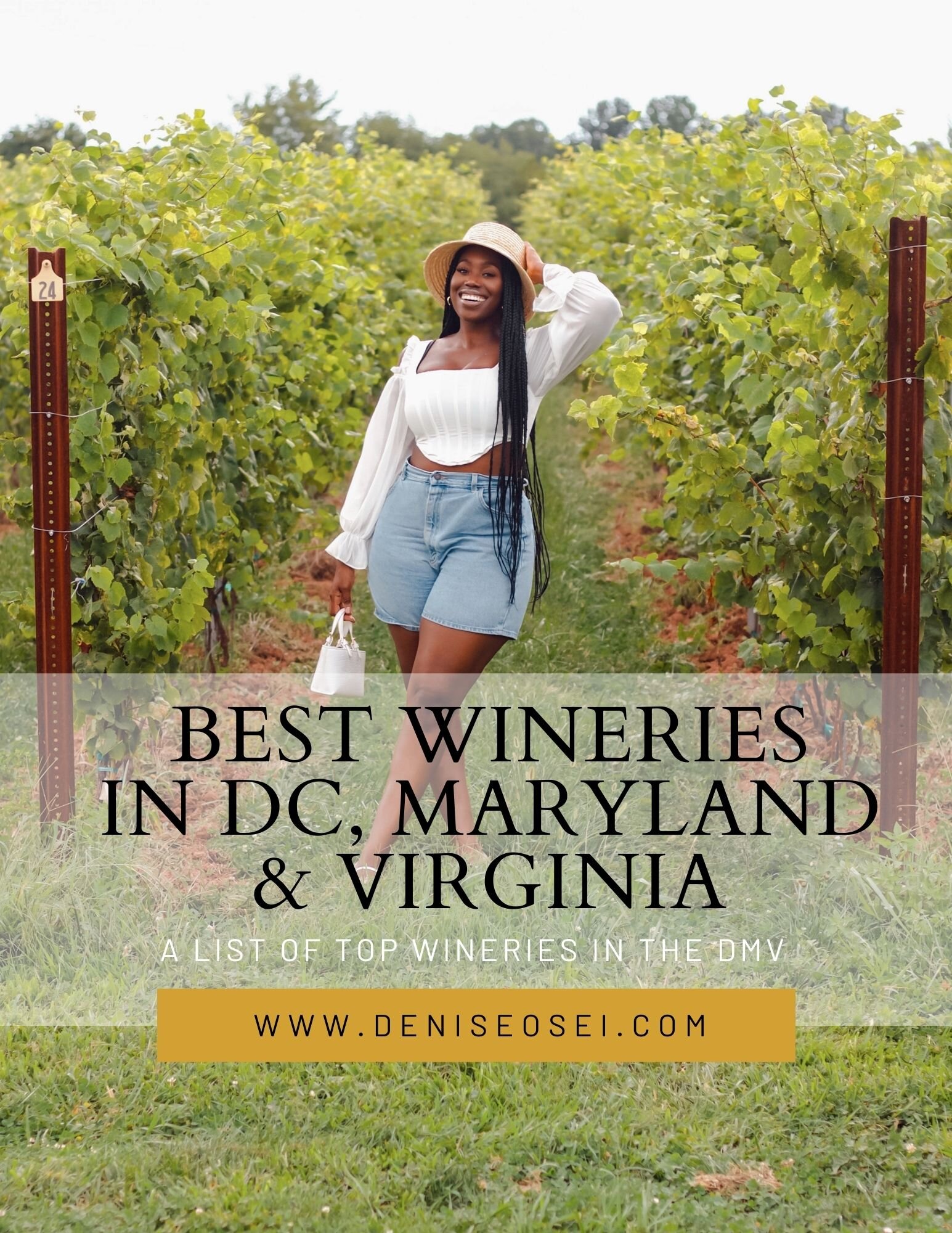 Free Guide: Best Wineries in DC, Maryland, and Virginia