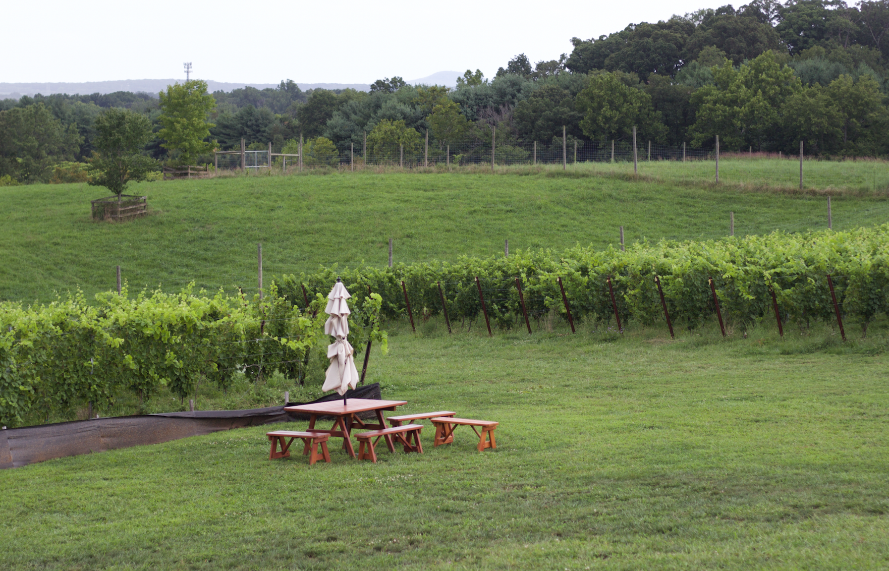 Screen Shot 2020-09-06 at 9.55.27 AM.png