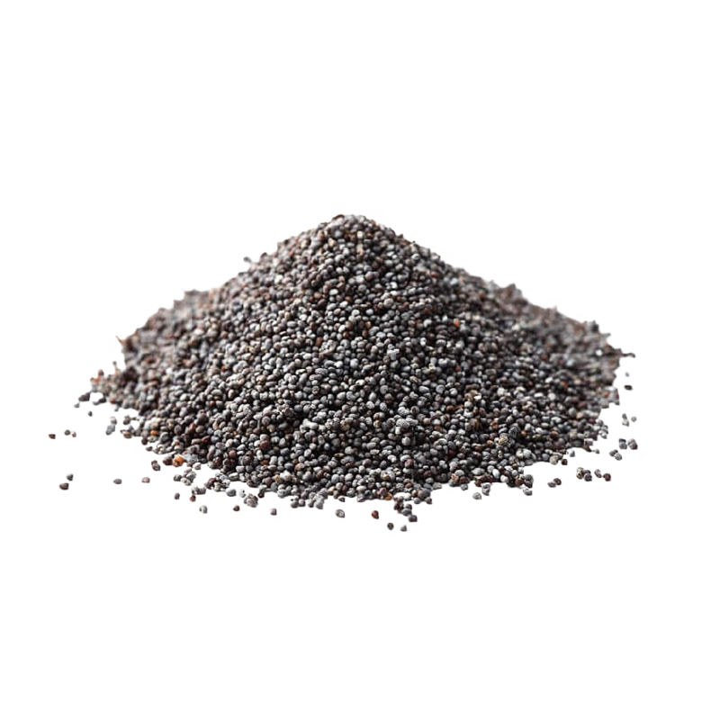 Pile of black mustard seeds on a white background.