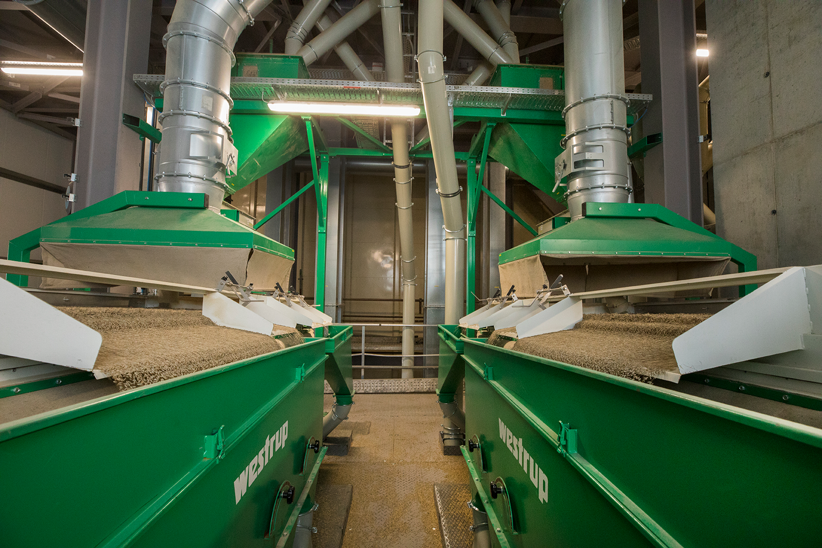 Industrial machine with green metal parts and conveyor belts, processing grains in a factory setting.