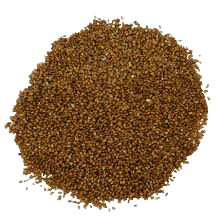 A cluster of small, round, brown seeds or grains.