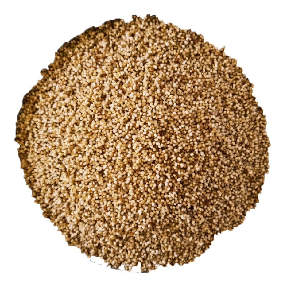 Nahaufnahme eines runden, samenähnlichen Nahrungsbällchens, das mit winzigen beigen Samen oder Körnern bedeckt ist.