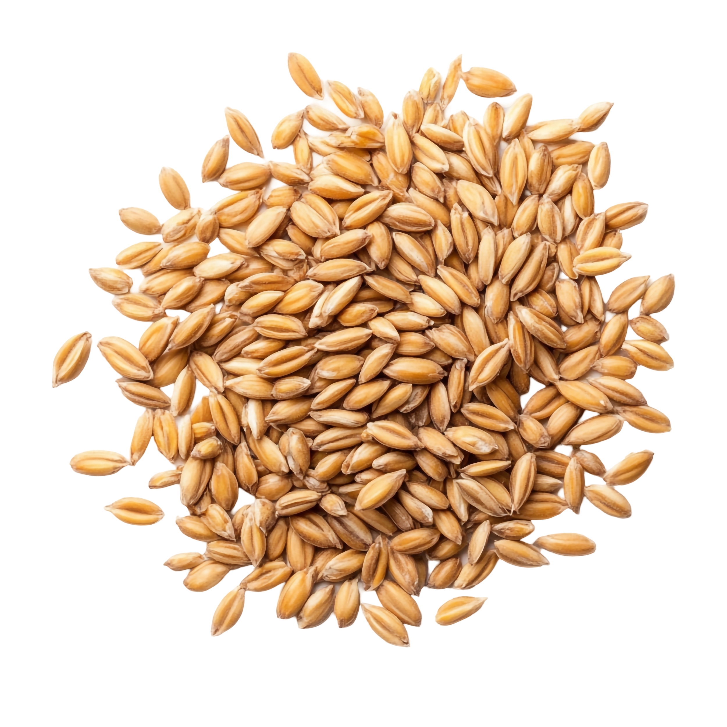 Nahaufnahme von Haferkörnern, die auf einem weißen Hintergrund verteilt sind.