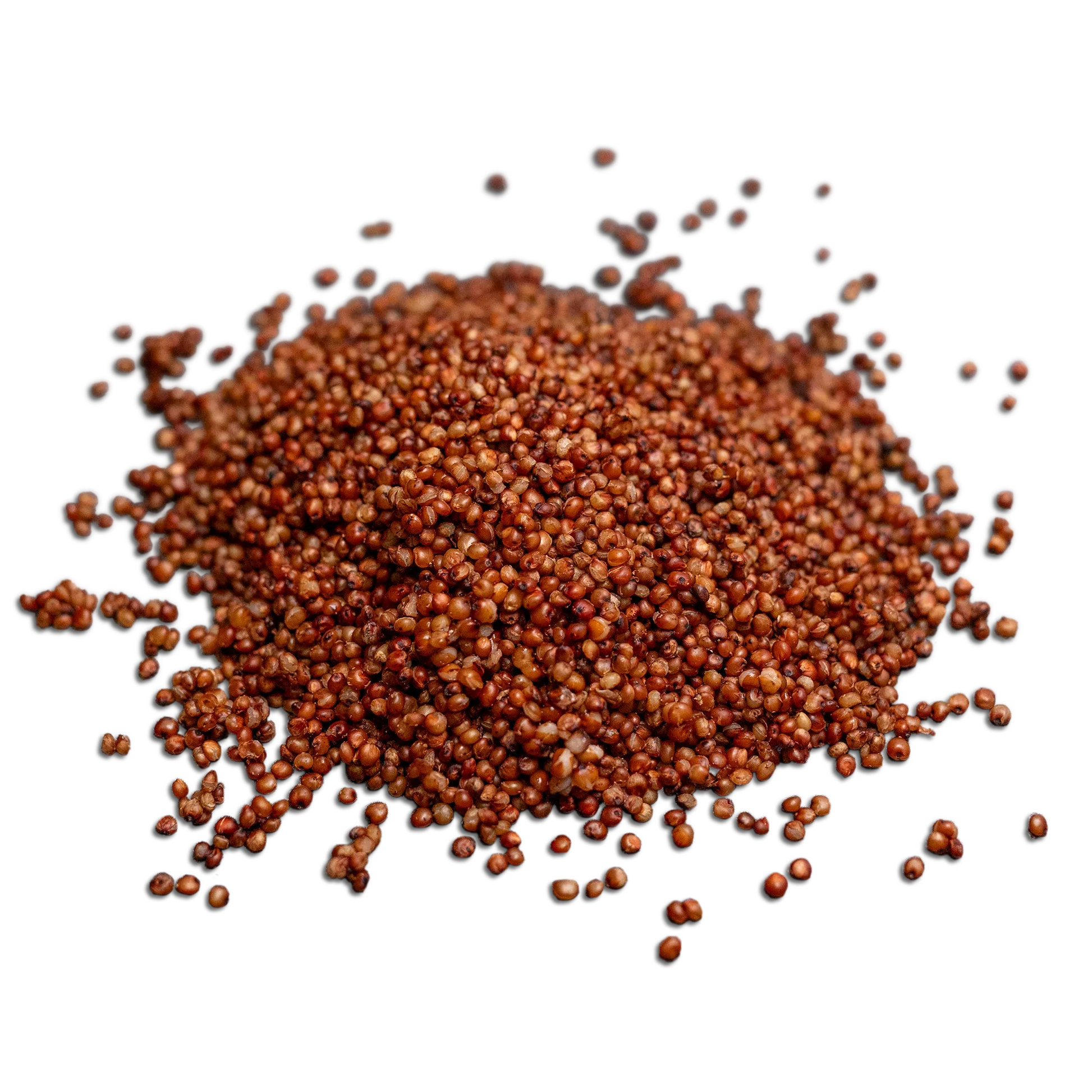 Ein Haufen brauner Senfkörner, verstreut auf schwarzem Hintergrund.