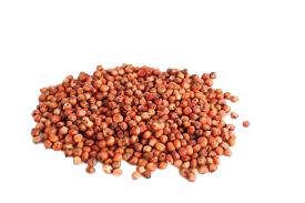 Nahaufnahme eines Haufens roter Linsen auf schwarzem Hintergrund