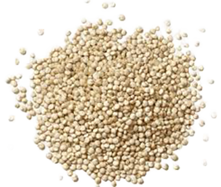 Nahaufnahme kleiner beiger Samen, die auf einem transparenten Hintergrund verstreut sind.