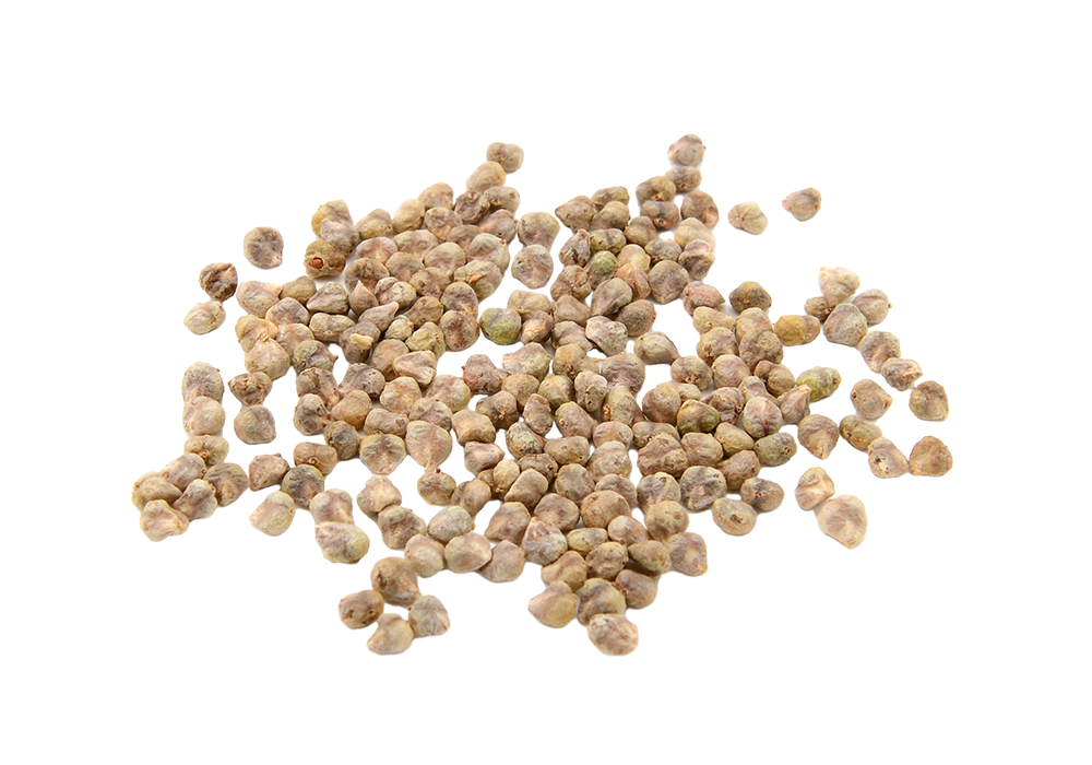 A pile of dried chickpeas on a transparent background.