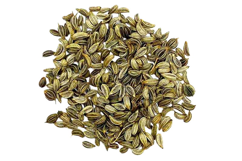 A pile of sunflower seeds.