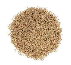 Close-up of a round pile of sesame seeds.