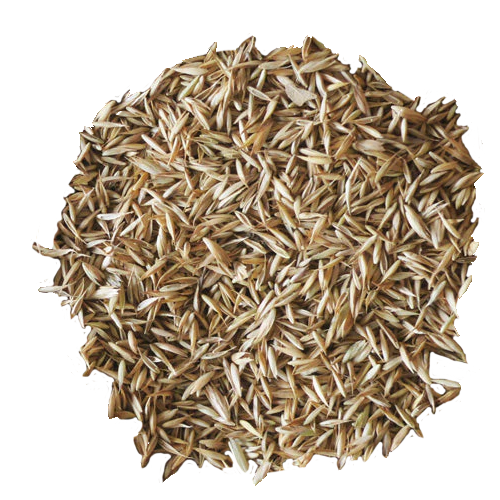 Ein Haufen Vogelfutter aus verschiedenen kleinen Samen und Körnern