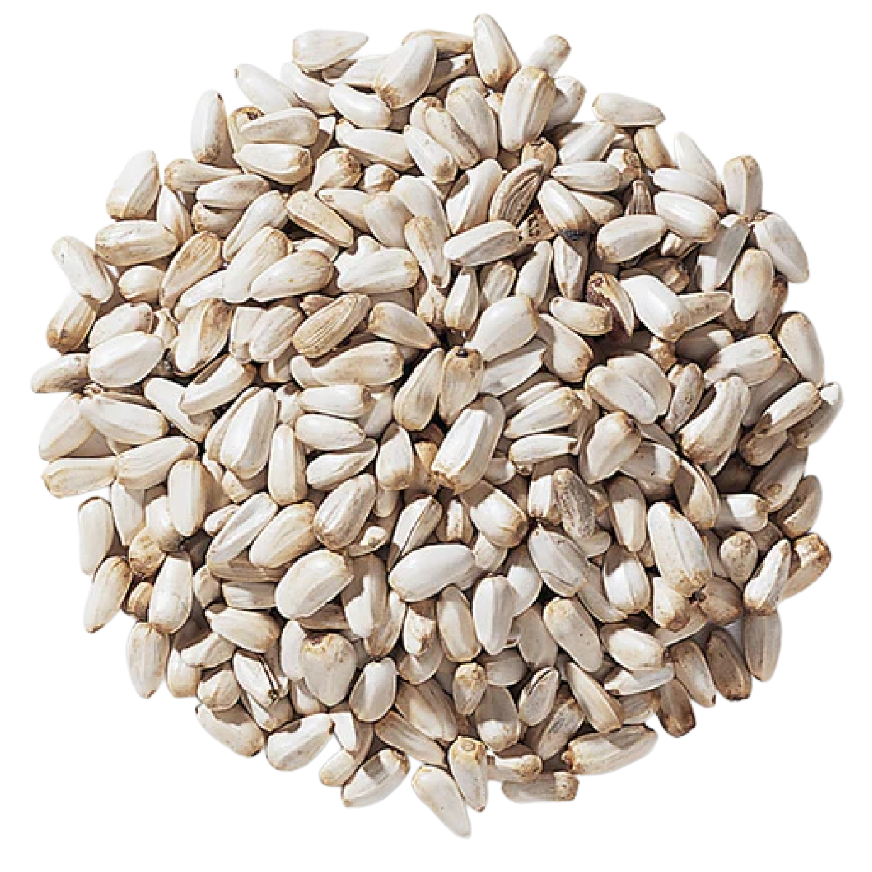 Close-up of a pile of sunflower seeds.