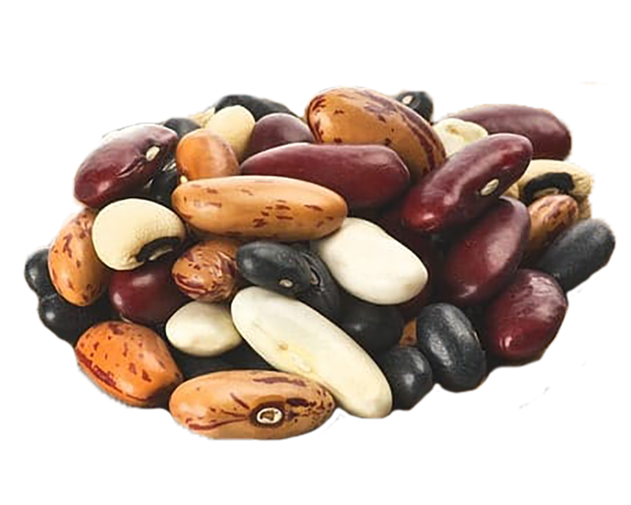 A pile of mixed dried beans, including kidney beans, black beans, white beans, and pinto beans.