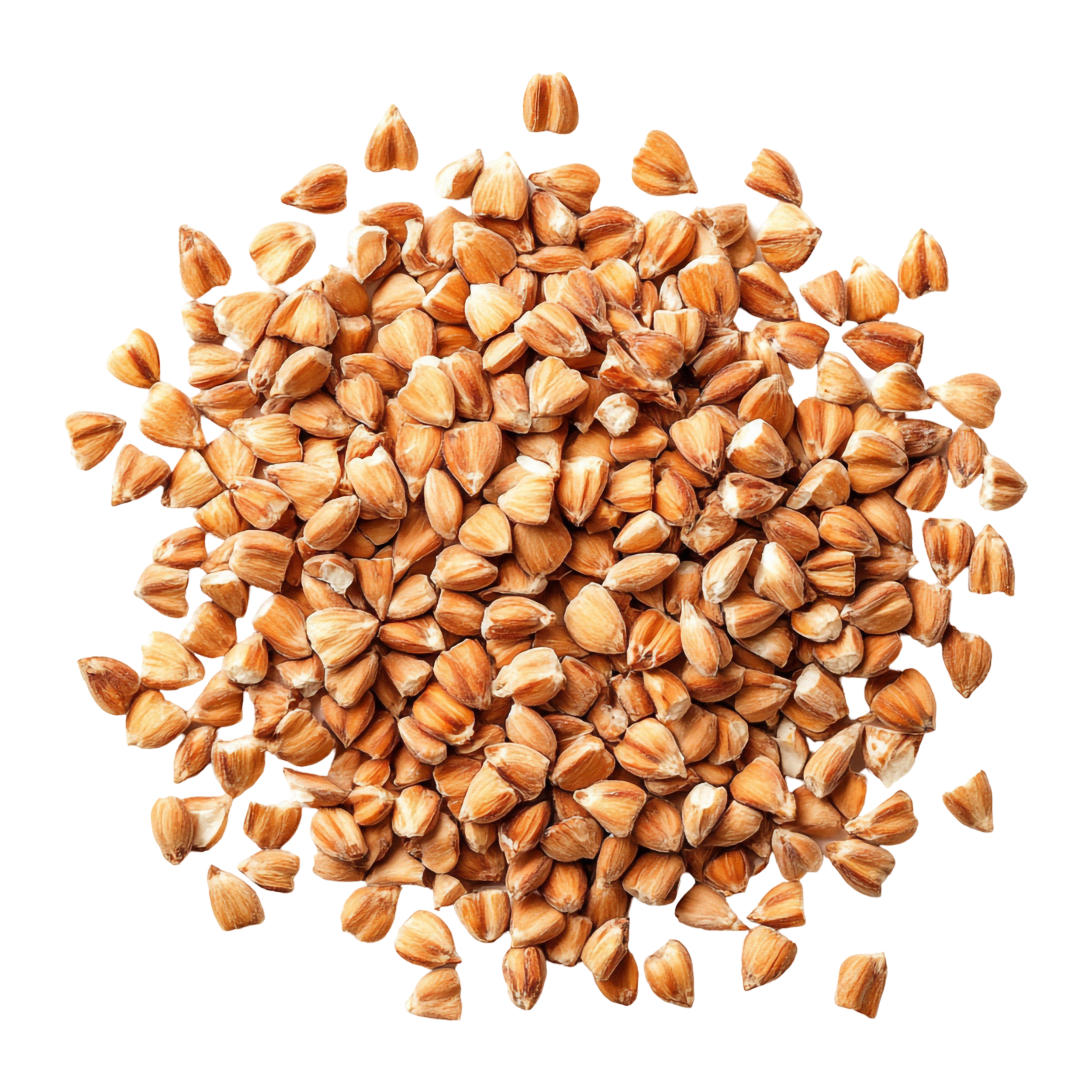 Ein Haufen ungekochter Buchweizengrütze auf schwarzem Hintergrund.