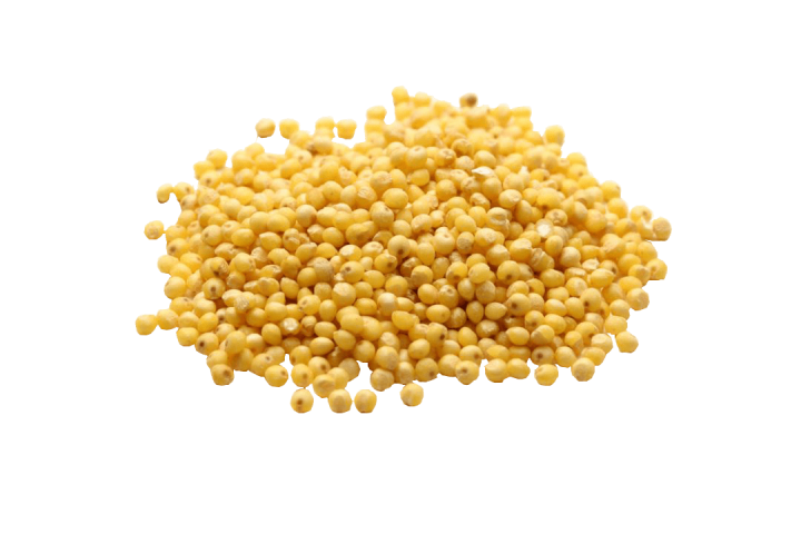 Ein Haufen gelber Senfkörner vor einem transparenten Hintergrund.