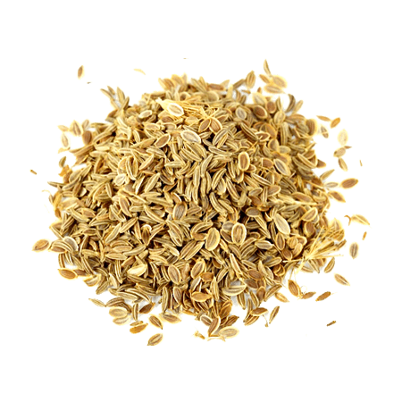 Dried fennel seeds on a black background