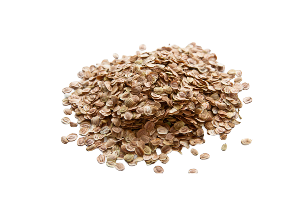 Heap of dried fennel seeds on a white background.