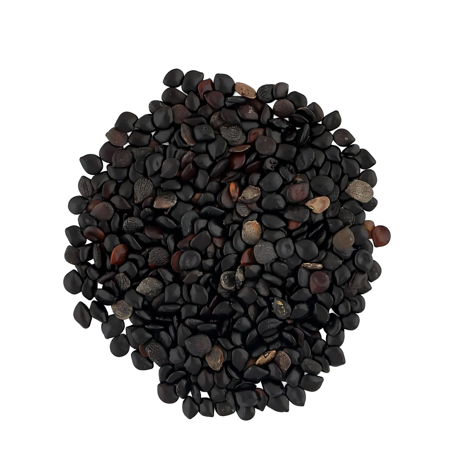 Cluster of black seeds with a shiny surface, varying in size and shape, some appearing brown or gray.