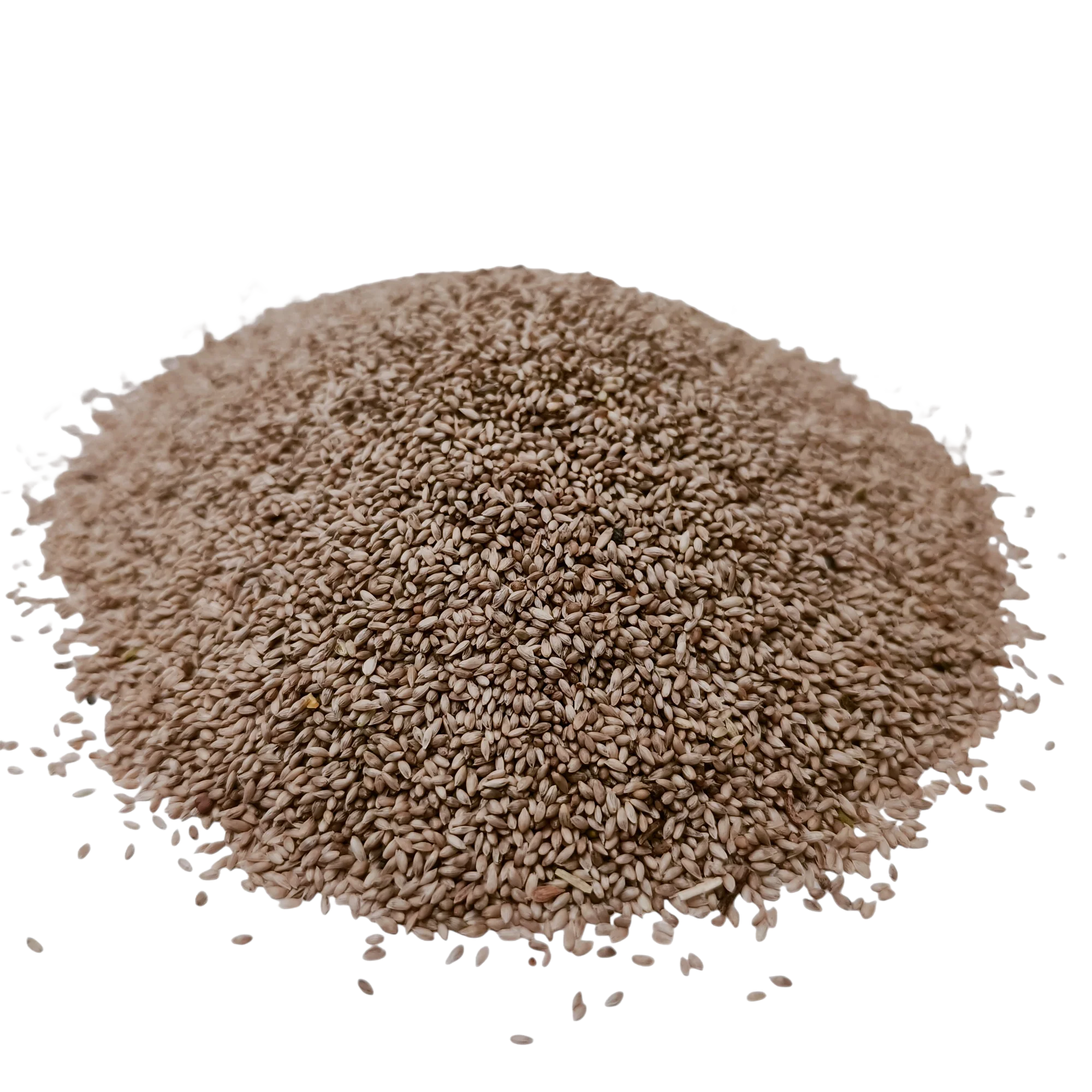 A heap of sesame seeds.