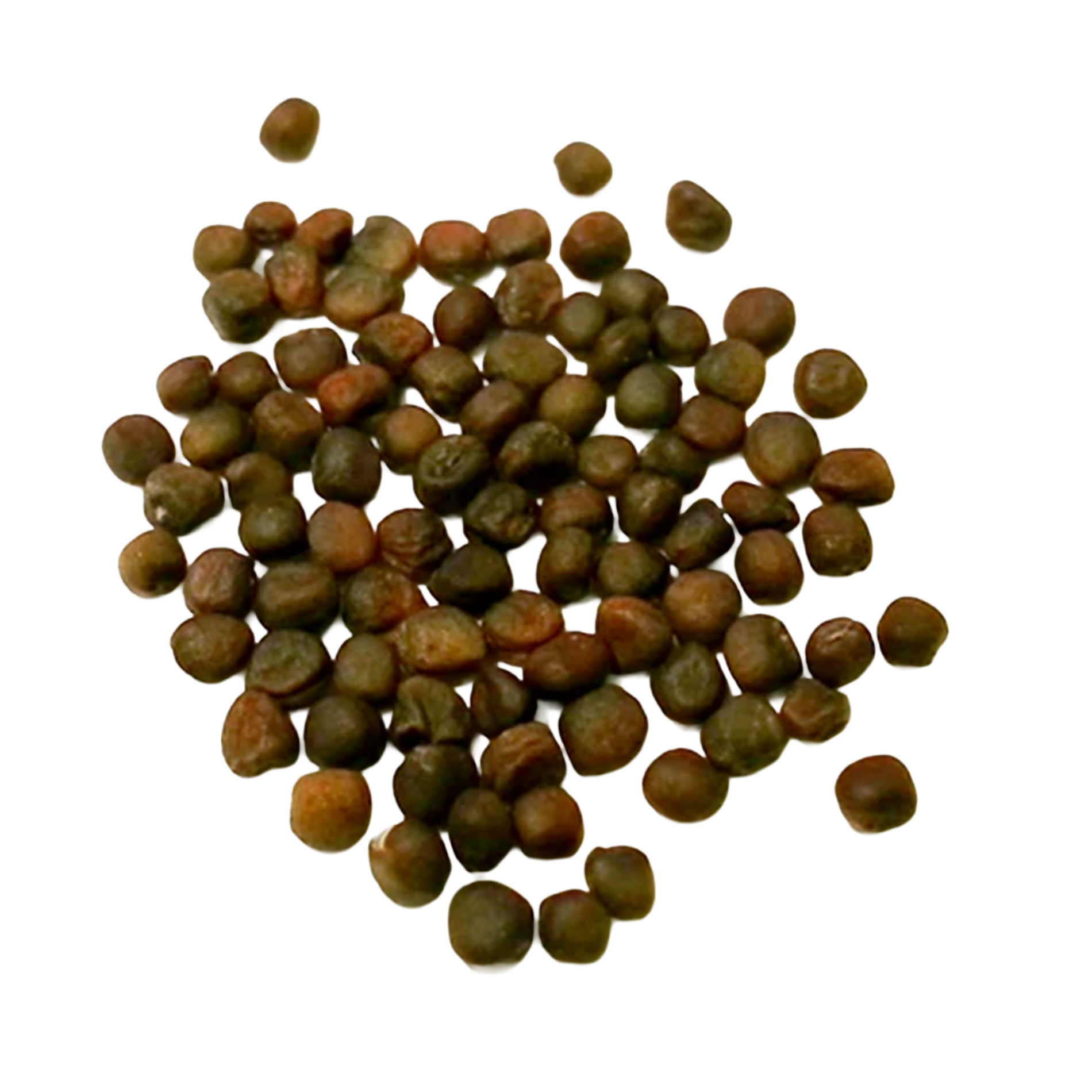 A scattered pile of small, round, brownish-green nuts or seeds on a white surface.