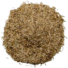 Pile of dried rice grains