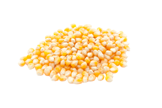 Gelbe und weiße Popcornkerne