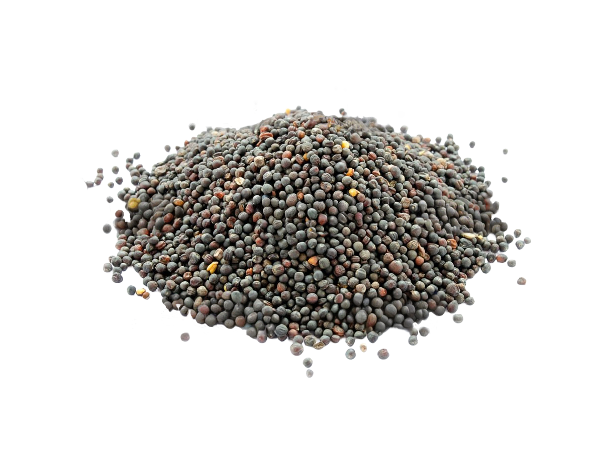 A pile of small, round black and brown seeds on a white surface.