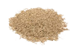 Pile of uncooked rice grains