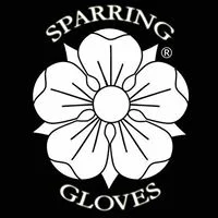 Sparring Gloves.jpg