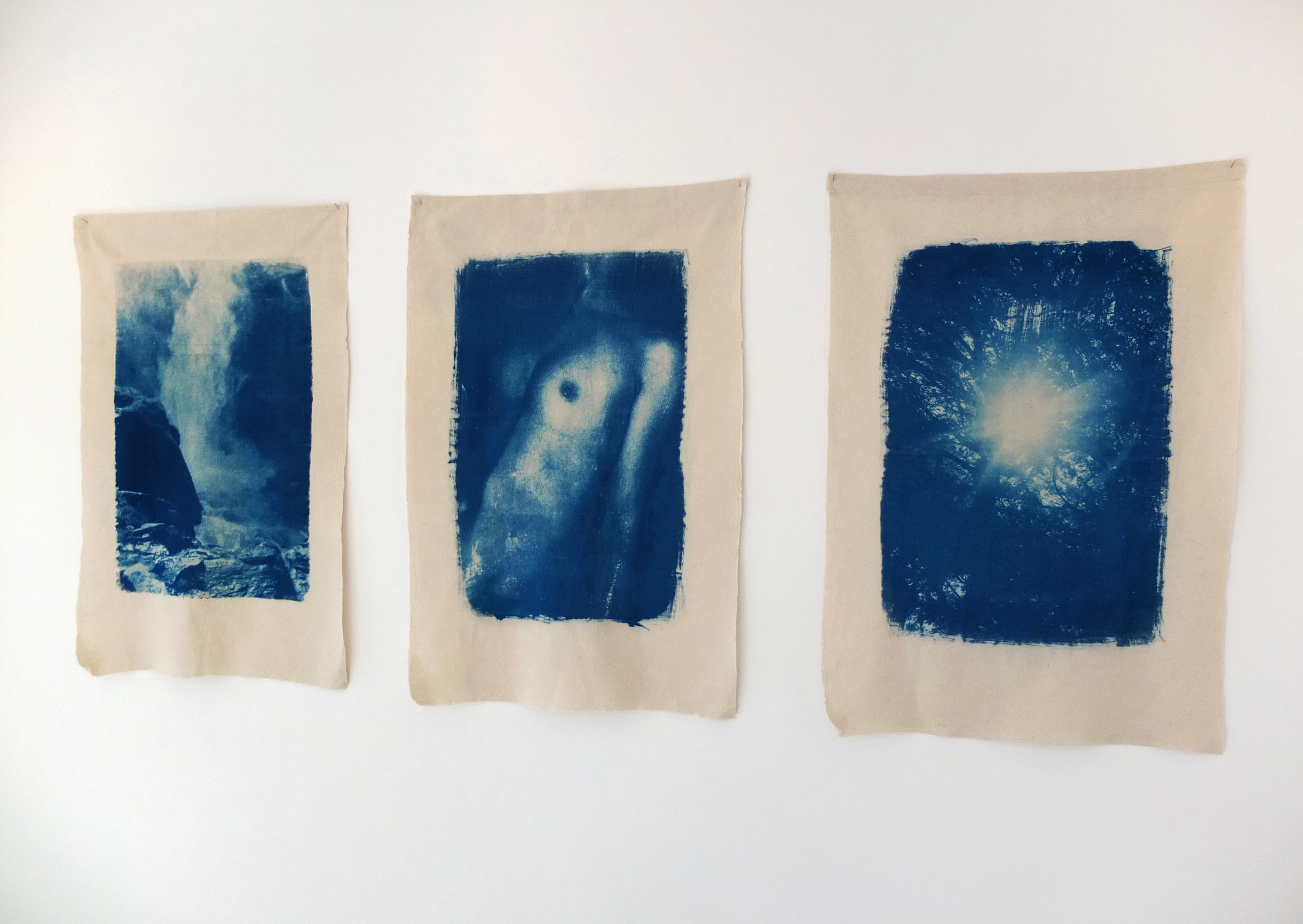  Cyanotypes on Organic Cotton Galerie Wilms 2021 