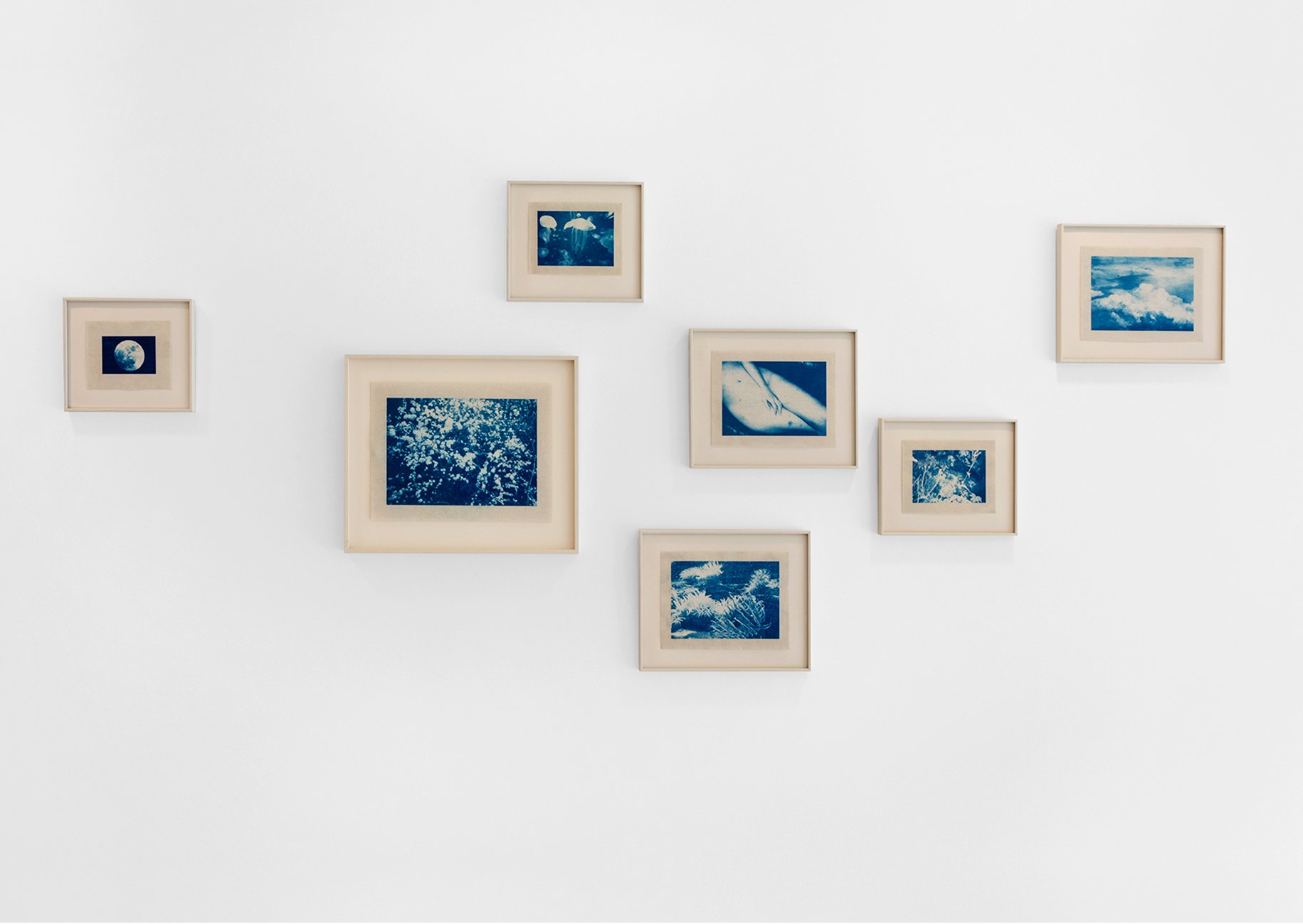  Cyanotypes on Kozo Paper Galerie Wilms 2021 