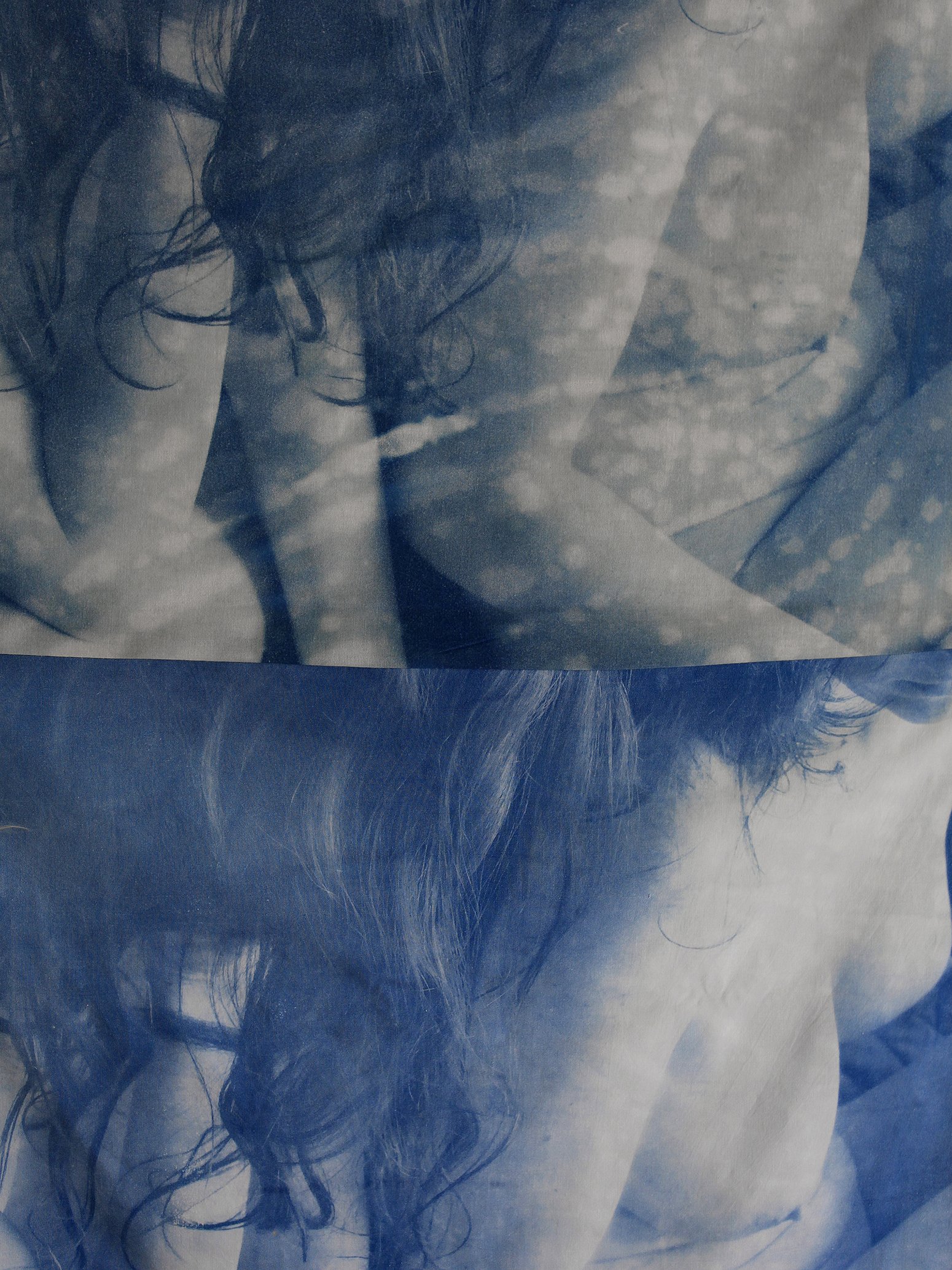 Cyanotype on Cotton, 87×128cm, Detail