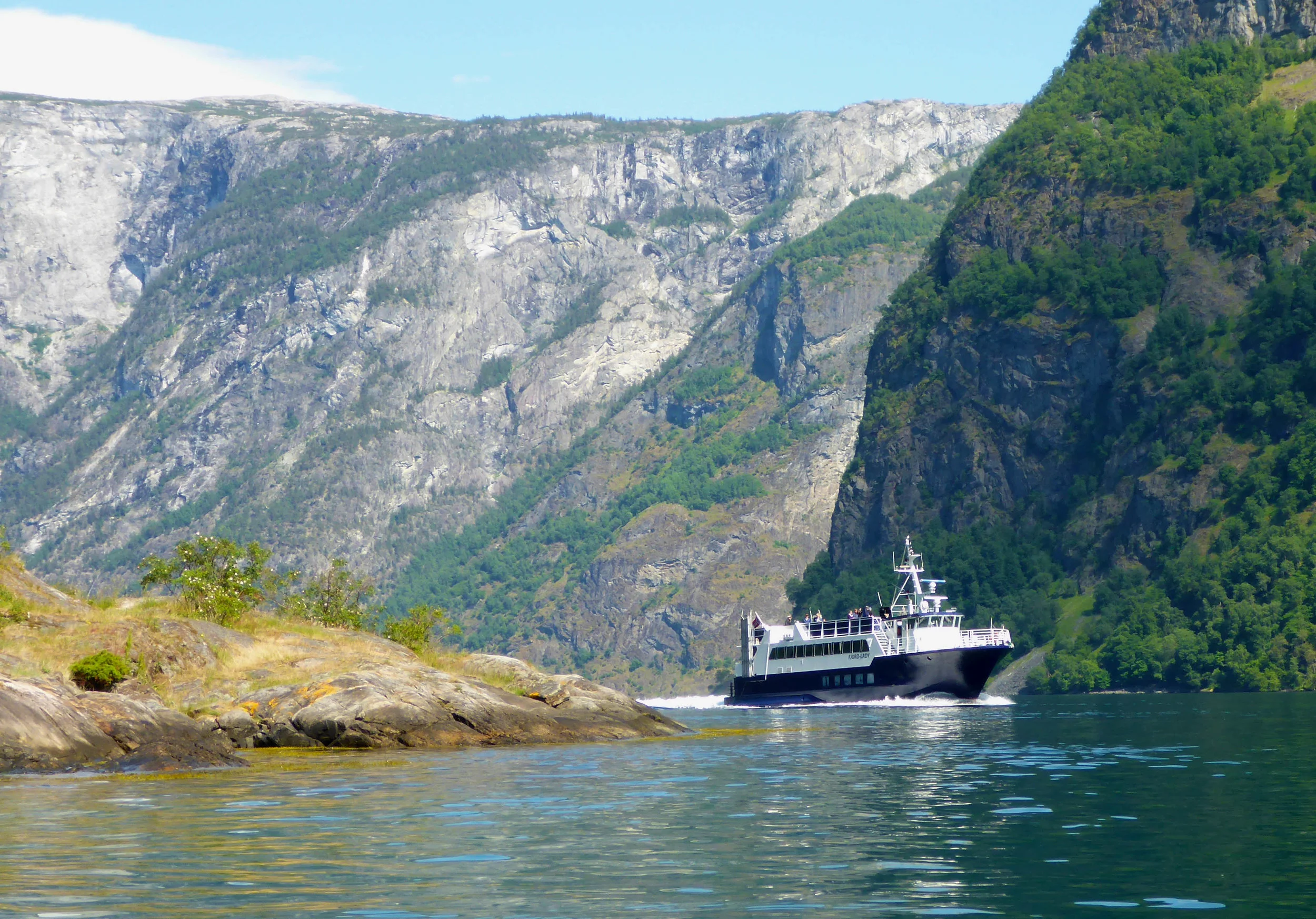 Fjord Lady-stor2.jpg