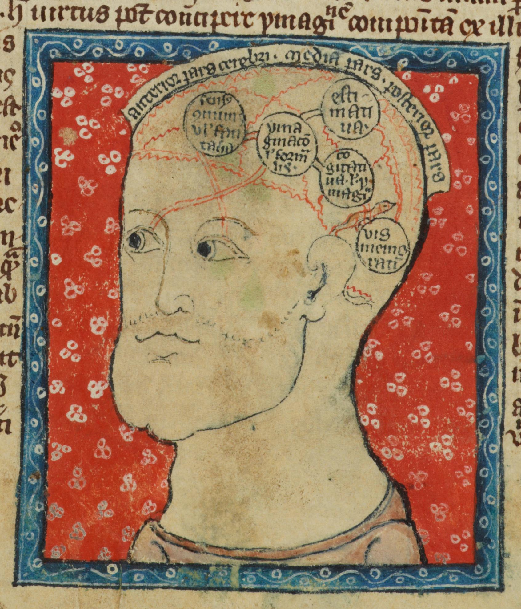 The Medieval Brain