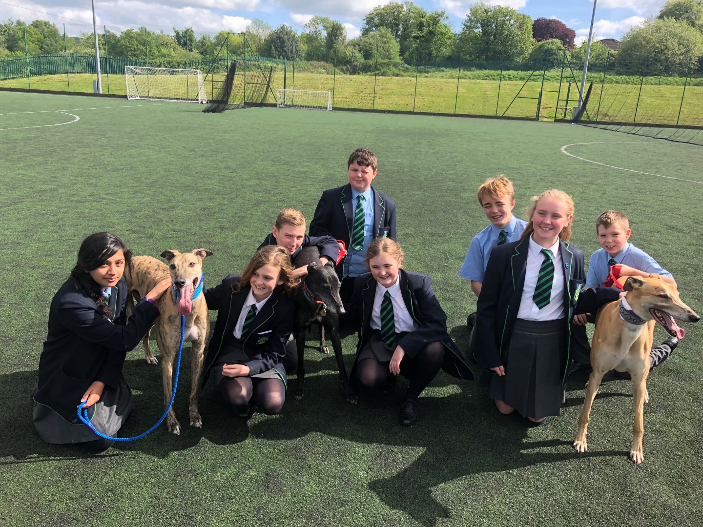 Greyhound Trust