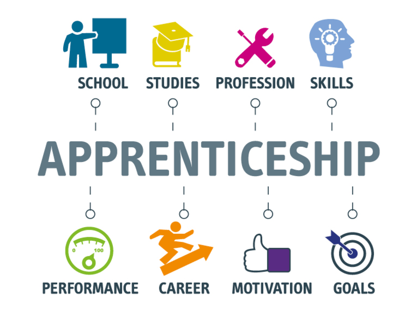 More Apprenticeship Opportunities!