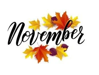 November Newsletter Edition