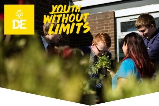 Impact of Redhill's Volunteering